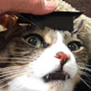 Meet your Posher, Sophia